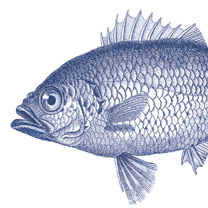 Serviette - Fish Marine