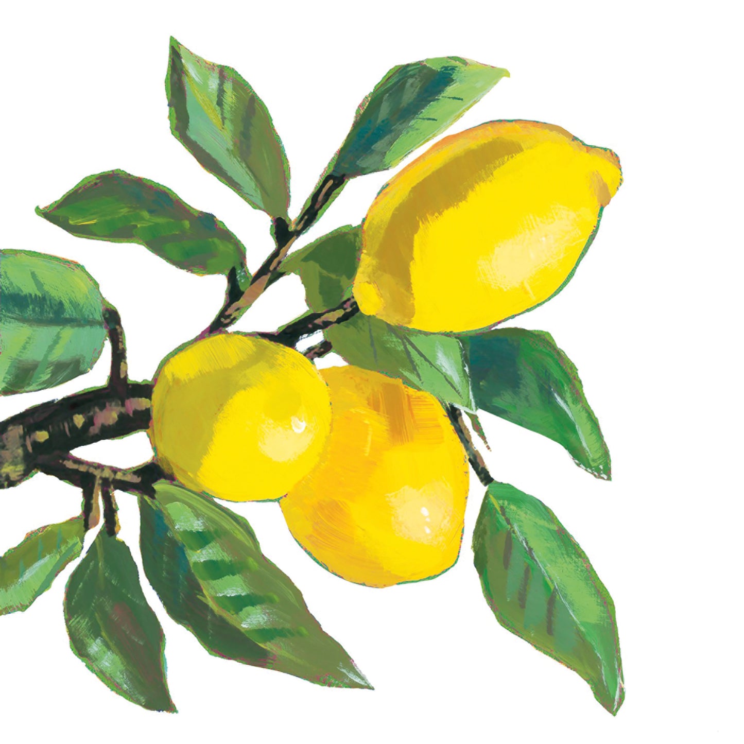 Napkin - Lemon Musée