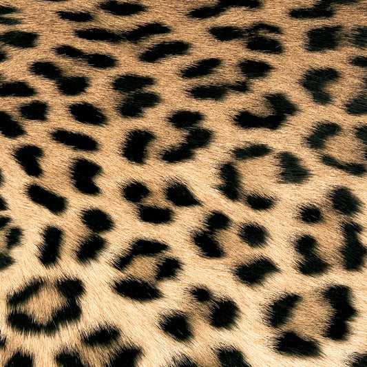 Serviette - Leopard Coture