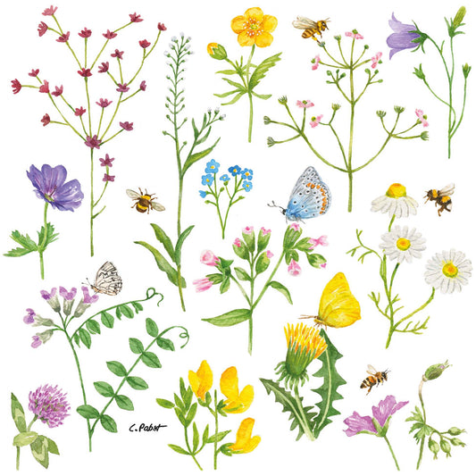 Kleine Serviette - Cornflowers